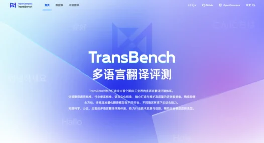 TransBench：阿里国际等推出的多语言翻译评测体系