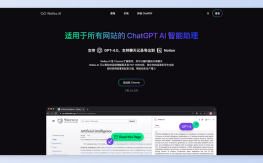 Walles.AI-适用于所有网站的AI助理